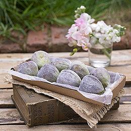 《荒野大镖客2》趣味BUG视频：亚瑟坐上摩托艇